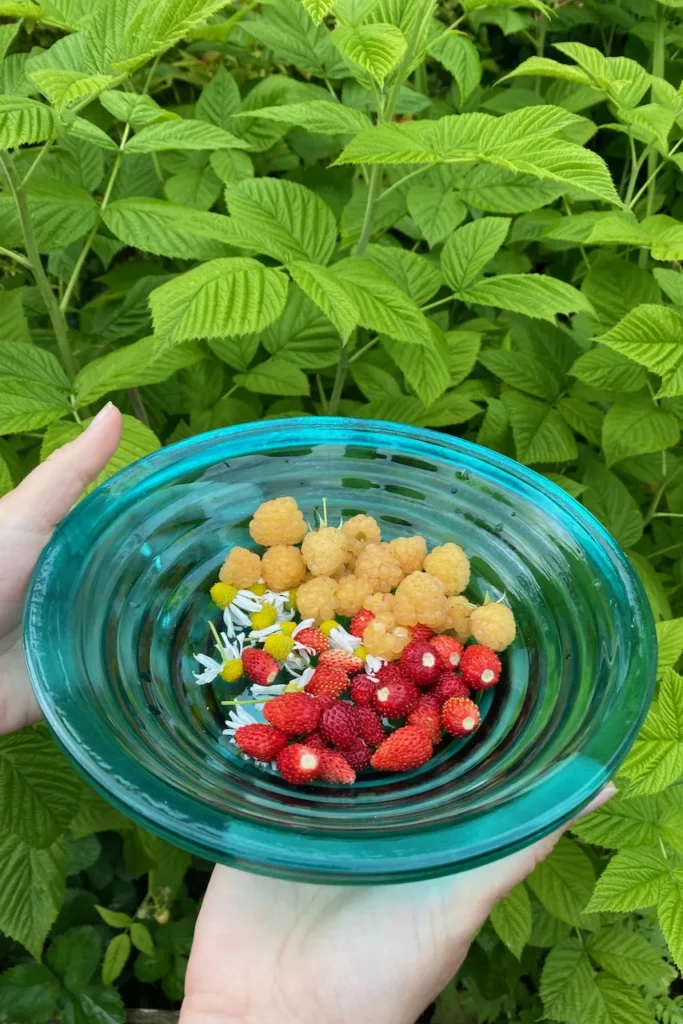  Disons que je leur donne des boutures de mon jardin et qu'ils ne me reprochent pas de leur expliquer pour la cinquième fois les règles du même jeu de société.