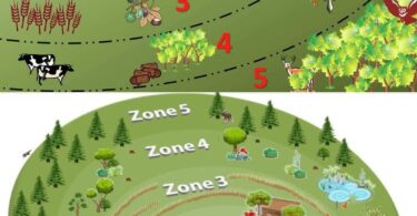 Organisez Votre Écosystème : Guide Complet des Zones de Permaculture pour une Vie Durable