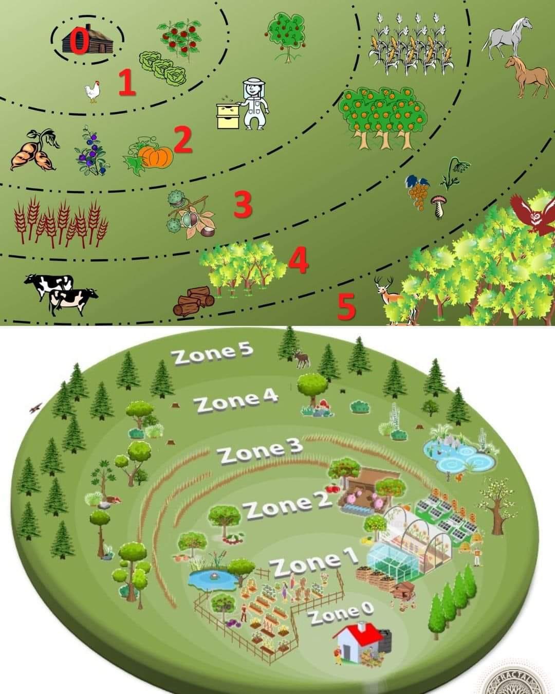 Organisez Votre Écosystème : Guide Complet des Zones de Permaculture pour une Vie Durable