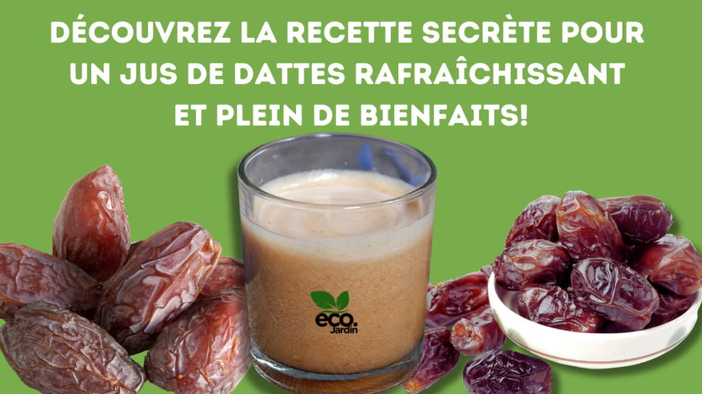 Découvrez la Recette Secrète pour un Jus de Dattes Rafraîchissant et Plein de Bienfaits!