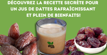 Découvrez la Recette Secrète pour un Jus de Dattes Rafraîchissant et Plein de Bienfaits!