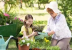 Principes de base du jardinage écologique