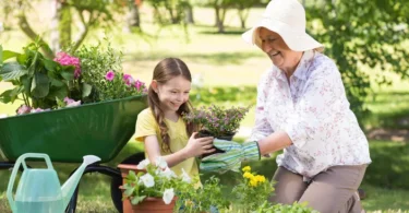 Principes de base du jardinage écologique