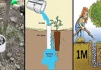 Arrosage Écologique et Efficace : Utiliser des Tuyaux en PVC pour le Soin Optimal des Plantes