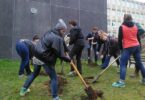 Des corvées de jardinage au lieu des heures de colle