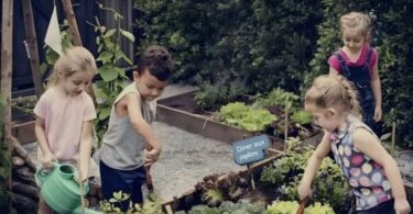 Élever des Enfants Connectés à la Nature.