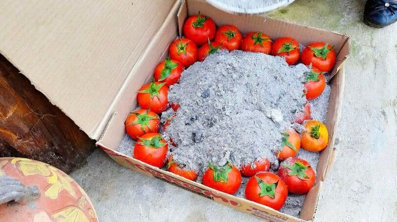 conserver des tomates dans la cendre